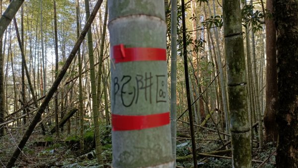 大秘寶探勘第九次 崩棚山西南稜線縱走光崙山大O繞大石翁山撿山頭全線貫通 2023年2月17日2034412