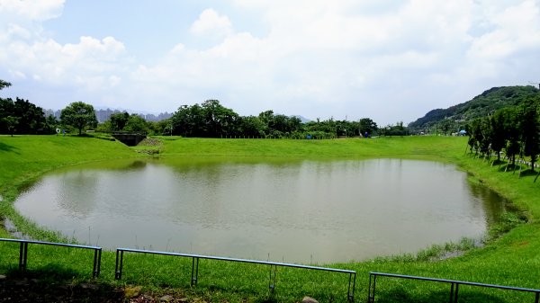 山佳荷花池2172763