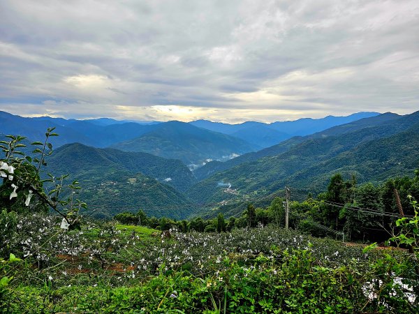 小百岳集起來-五指山2452732