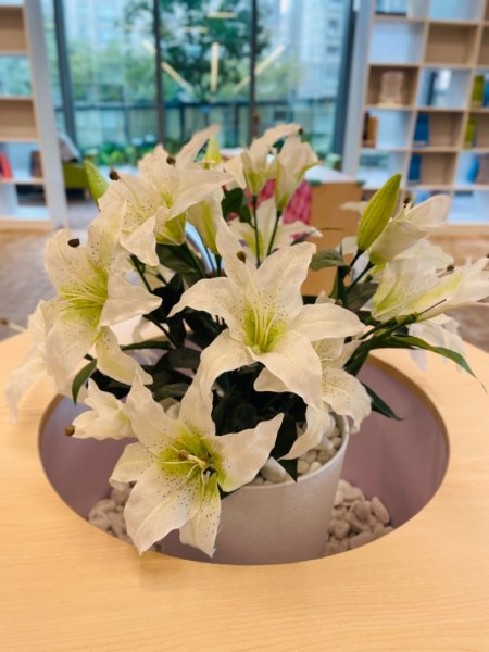 全台灣最美麗的圖書館2716560