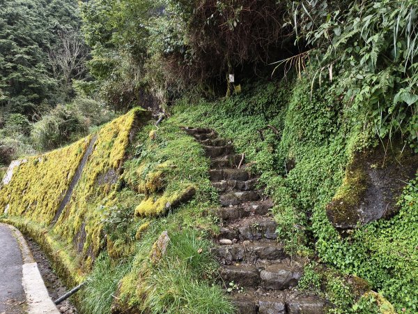 [玉山尋寶任務-08/12] 2025_0824 鹿林山步道_鹿林山2870797