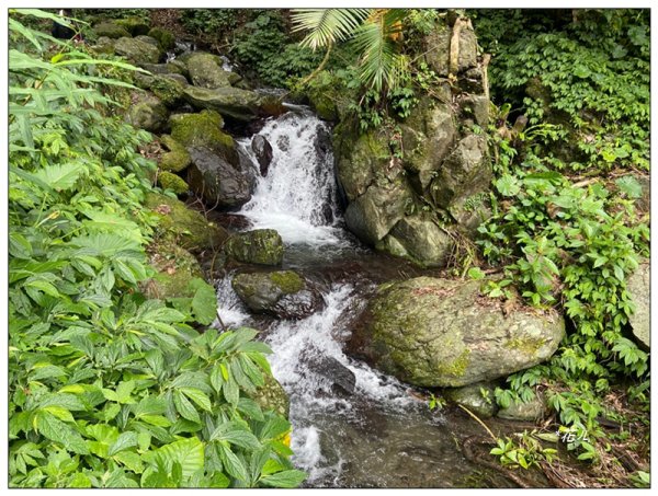 聖母峰、三角崙山 (抹茶山) 連走2802196