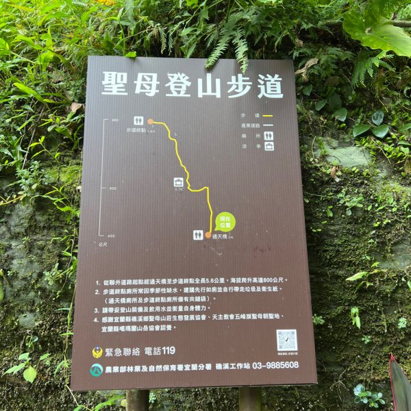 抹茶山、三角崙山、五峰旗瀑布2585803