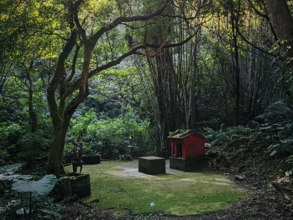 石雲步道 望湖山 福源山步道1239052