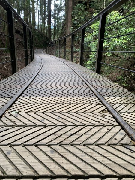 20250517義義兒玉山-東水山2791723