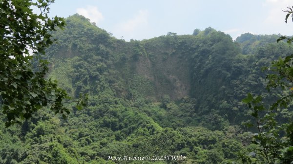 《南投》峰峰相連｜草屯九九峰森林步道O型202509062879298