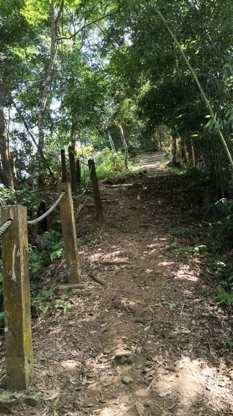 20251004 馬那邦山 - 珠湖 登山口2904916