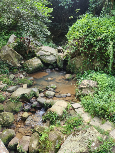 2025臺北大縱走第三、四段連走:小油坑至中華科技大學