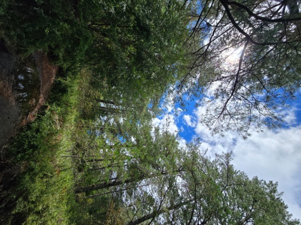 志佳陽大山／至高點／雪山大草原／瓢單山屋／四季蘭溪吊橋2927671