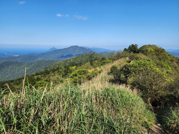 20250322-姜子寮山2740006