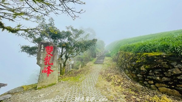 【台東。 太麻里】沒有金針花只有狹窄的山路。 小百岳集起來。 編號94小百岳-太麻里金針山步道1644024