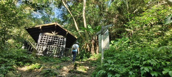 2025/06/28_馬胎+南坪古道2823744