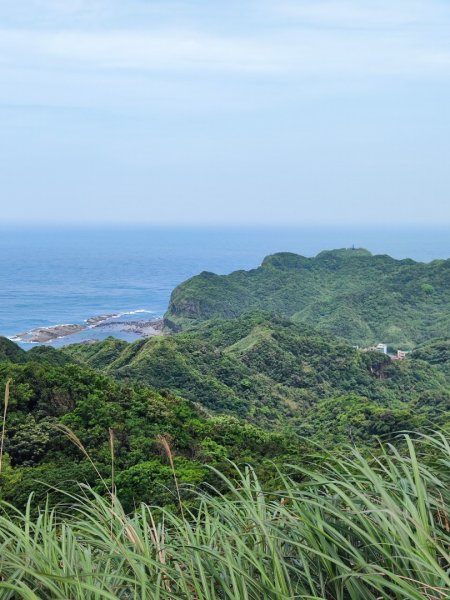 南雅山-門牙岩-鐵達尼岩-海園古道-鼻頭角3040493