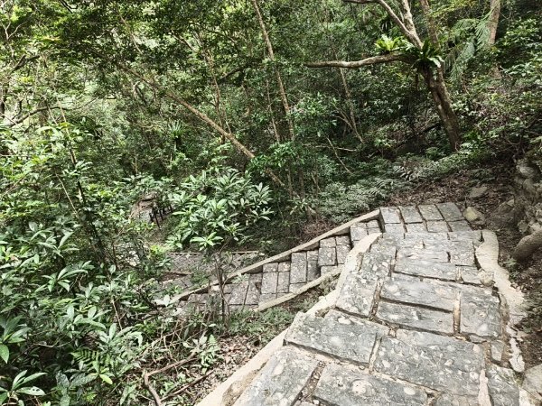 [百山百鳥尋旅-09/15] 2025_0920 滿月圓國家森林遊樂區步道群2893076