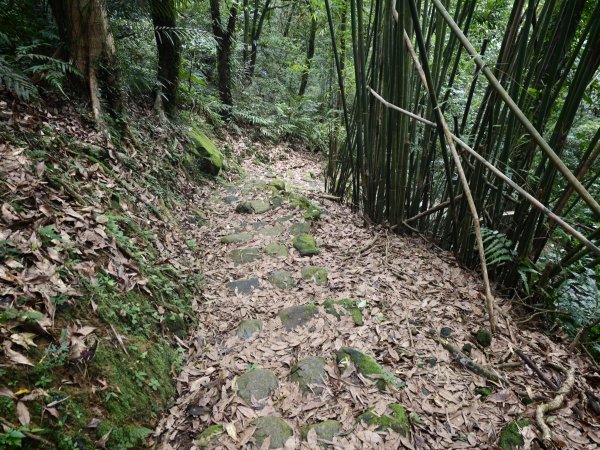 [淡蘭古道] 2026_0531 北路第四段_金字碑古道(下)-金字碑3071094