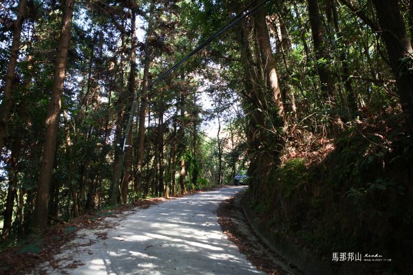 苗栗縣大湖鄉~馬那邦山1564892