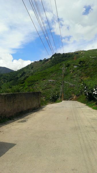 志佳陽單攻139877