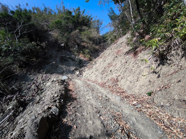 2026-02-10 白雲山2999919