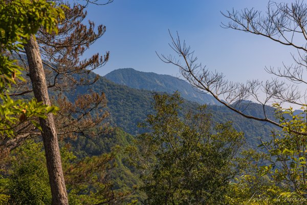 谷關七雄_唐麻丹山3015633