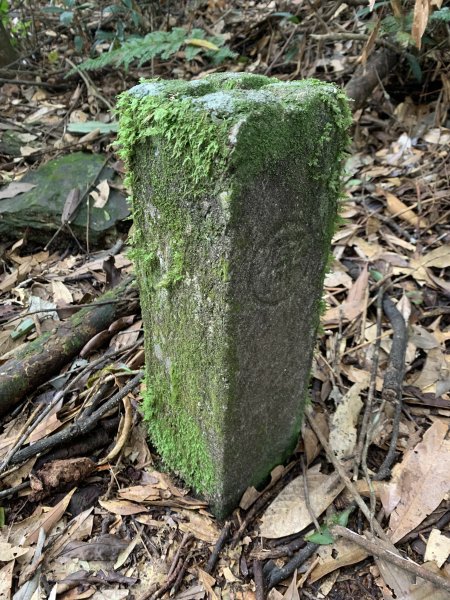 20251010高雄尾寮山-西北峰2913651