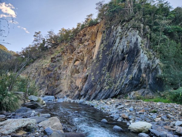 【中級山縱走】羅馬縱走，走進神木的夢幻童話森林世界2943270