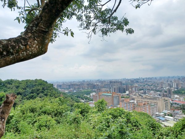 【台中北屯】南觀音山步道2933196