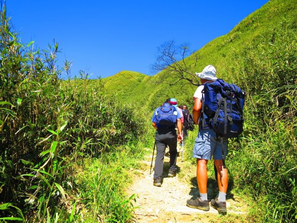 走聖母與三角崙山步道 再探神級抹茶山698496