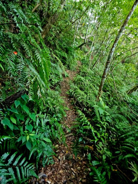淡蘭南路第四段：𩻸魚堀溪自行車道至縣界公園2873637