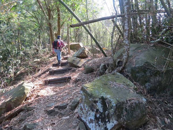 高雄甲仙六義山步道(百葉線)266392