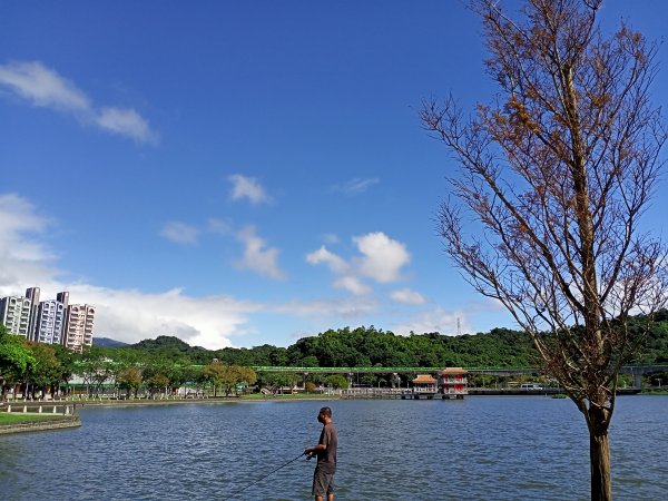 大湖公園《水光瀲灩晴方好》1905998