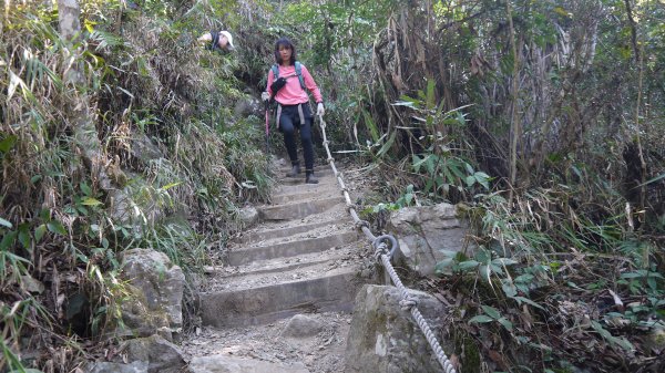 白毛山登山健行趣（中級山）1509838