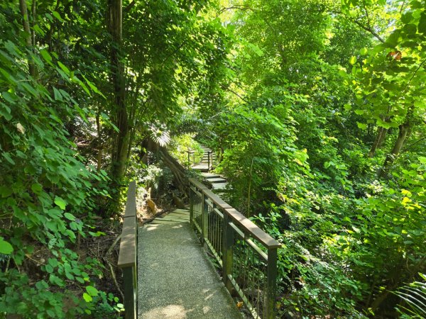 蘭潭後山步道、紅毛埤山（小百岳）2606380