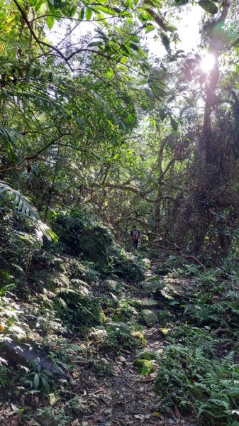 新店小粗坑赤蘆古道越嶺O型2784405