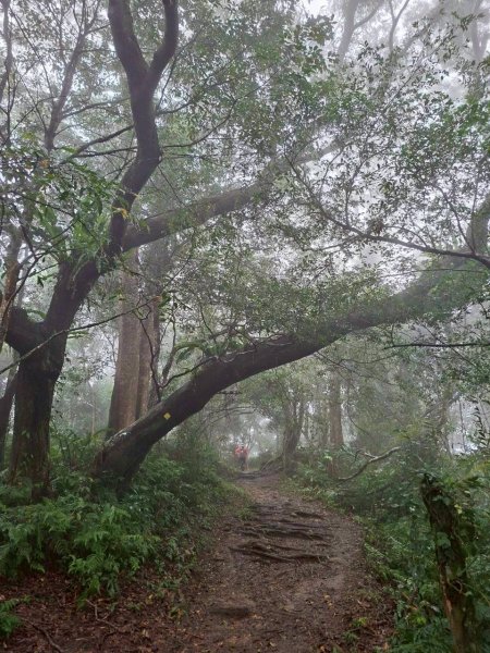 12/27（六）🌈石門水庫~溪洲山（小百岳）✨FB：熊熊趴爬走🌈2971211