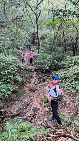 東勢大崙、東勢坑山、觀音湖山O走2986360