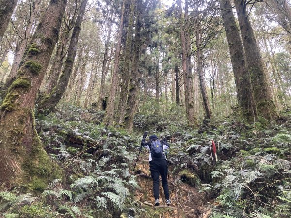 三星山登山步道(宜蘭)2412544