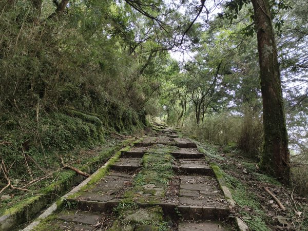 [玉山尋寶任務-08/12] 2025_0824 鹿林山步道_鹿林山2870807