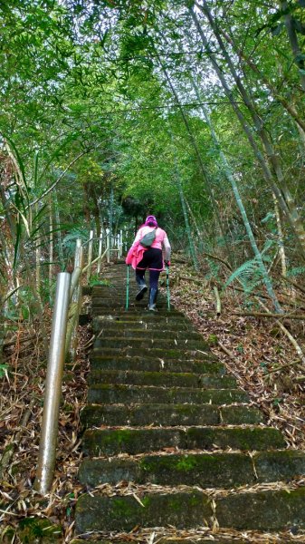 大湖尖山-原路來回1267753