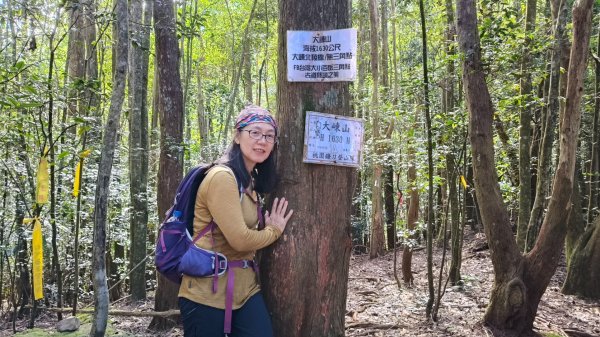 肥大醜三崠連走，鳶嘴西陵上鳶嘴山2650342