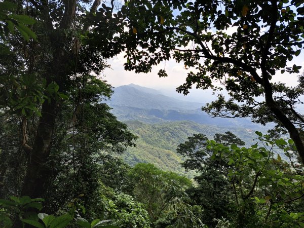 台南關子嶺枕頭山，大凍山，雞籠山步道3123307