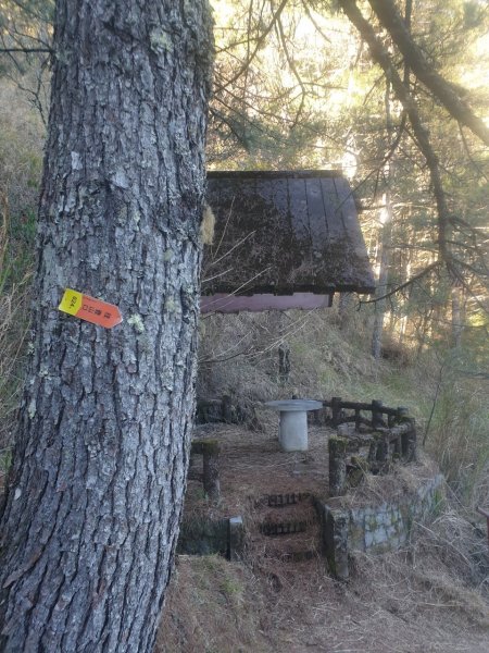 高繞畢祿山1620267