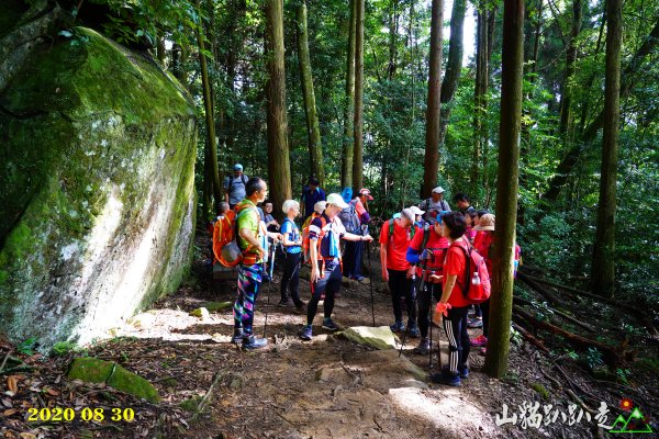 加里山~山貓趴趴走1084705