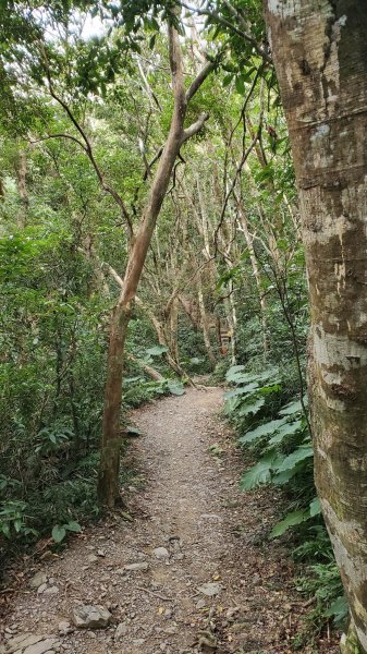 屏東山旅 – 雙流國家森林遊樂區（瀑布步道-沿山步道）2679957