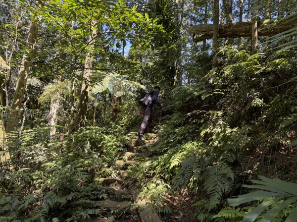 [淡蘭古道] 2026_0315 南路第三段_獵狸尖步道3017270