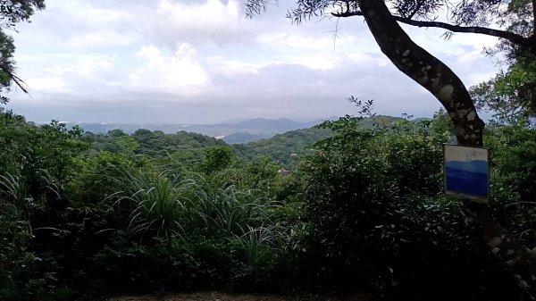 20250517 倒別牛-中坑山-飛鳳山 大O型2790382