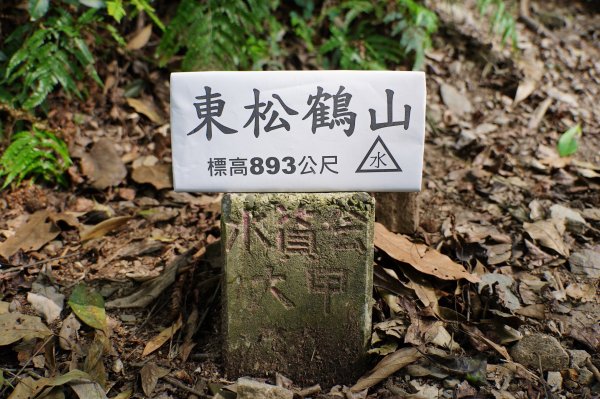 台中 和平 南松鶴山、八仙山、東松鶴山2877998