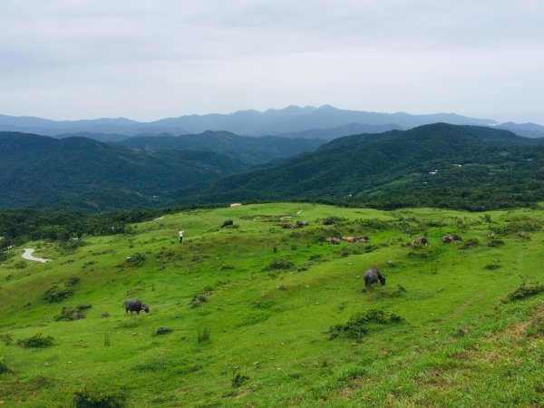 瓏美麗一週一步道（桃源谷）590064