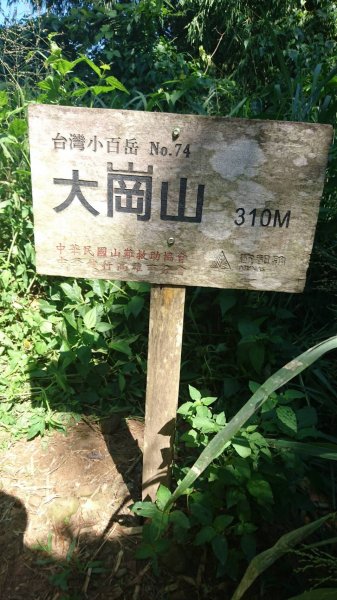 No.74 大崗山 高雄阿蓮-田寮