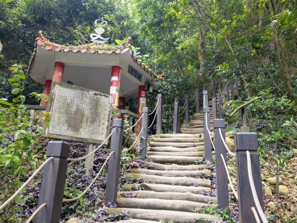 頭嵙山(小百岳#41)大坑4,5,1步道1003709