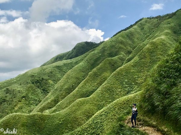 ●玩水●獼猴●賞蝶「聖母山莊步道」630426